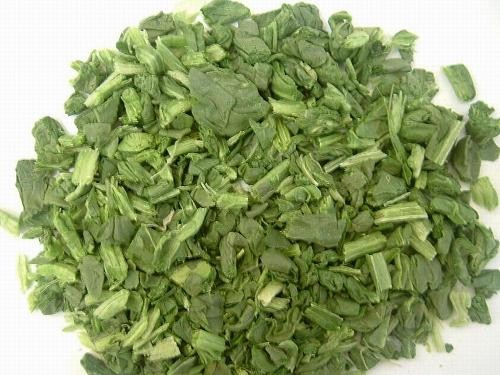 2016 crop Free Sample Chips HACCP ISO Certificate Freeze Dried  Spinach