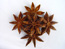 star aniseed