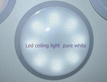 KingKara LED Ceiling Light