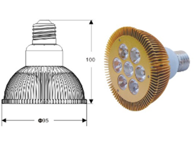 LED Spotlight PAR 30