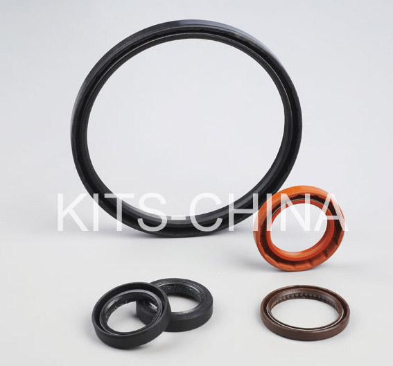 CAMSHAFT oil seals