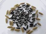 Black Glutinous Rice Pigment