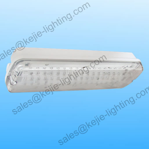 LED emergency bulkhead