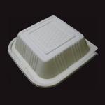 biodegradable hamburger box, disposable, compostab