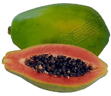 Papaya seed