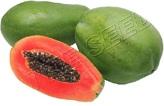 Papaya seed