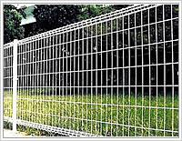 Wire Mesh Fences