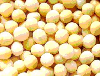 Soybean Isoflavones P.E.(sales26 at lgberry dot com dot cn)