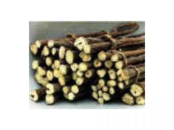 Licorice extract