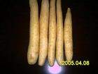 Wild yam extract(sales26 at lgberry dot com dot cn