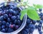 Sweetberry Anthocyanin (sales6 at lgberry)