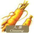 wild ginseng extract (sales6 at lgberry)