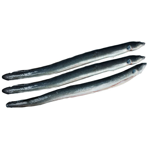 Frozen Eel