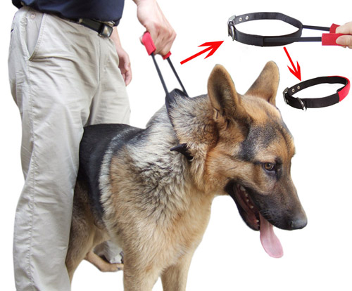 Control Dog Collar