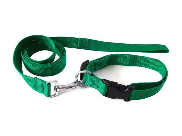 PP pet collar and leash, dog collar and leash