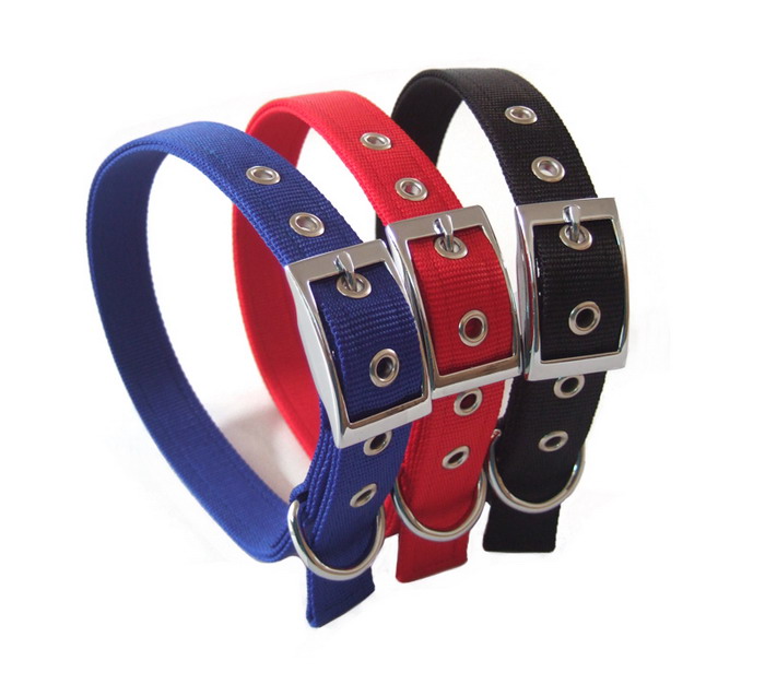 Nylon dog collar, pet collar