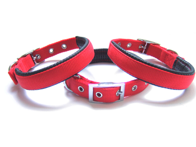 Padded nylon dog collar, pet collar