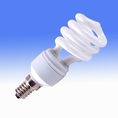 Compact Fluorescent Light Bulb