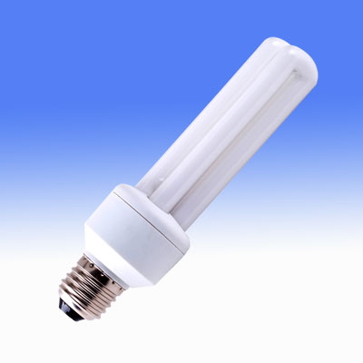 Compact Fluorescent Lamp