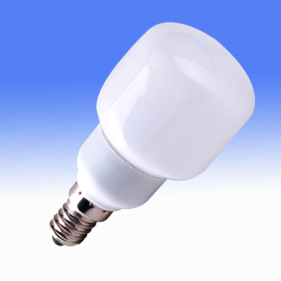 Fluorescent Indoor Lamp