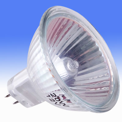 LED Indoor Light