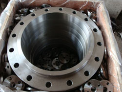 Flange