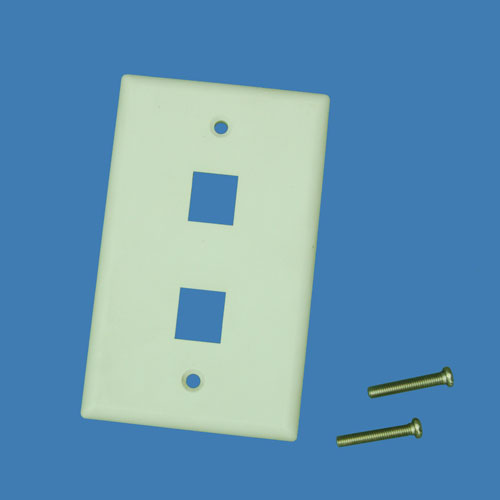 Two Ports USA Faceplate