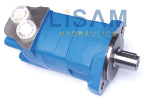 Hydraulic Orbital Motor