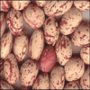 Light Speckled Kidney beans