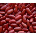 Red kidney beans 