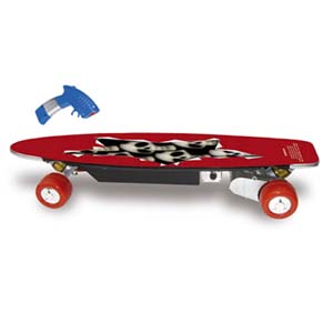 Electric skate board 