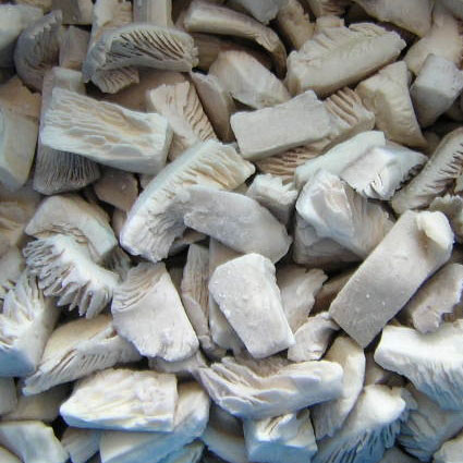 Frozen oyster mushroom