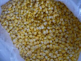 Frozen Sweet Corn 