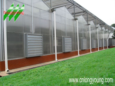 Polycarbonate(PC)Hothouse