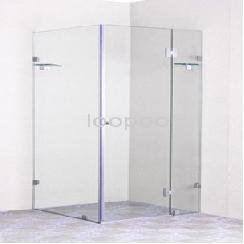 Frameless Shower Room