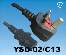 BSI power cord