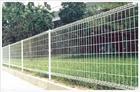 wire mesh fence 