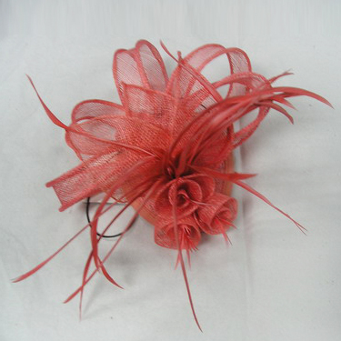 Fashion hair accessories