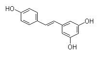 Giant knotweed extract 20%-98%Resveratrol