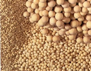 Molecular Sieve  (competitive price)