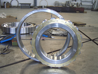 cylindrical roller bearing