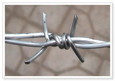 barbed wire