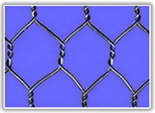 chicken wire mesh 