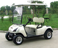 2 Seater Electric Golf Car with CE certificate 