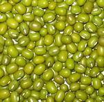 mung bean