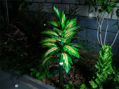 garden solar light