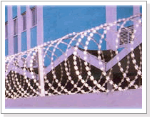 Razor Wire 