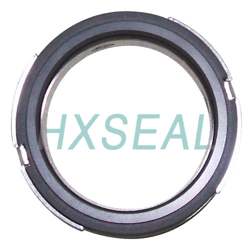 Silicon Carbide Seal Ring