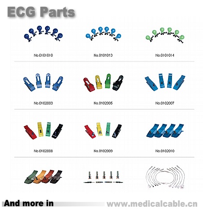 ECG parts