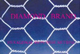 Hexagonal Iron Wire Netting 